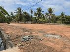 109 Perch Land for Sale in Negombo Kattuwa