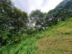 109 Perch Scenic Land for Sale – Kegalle (Rambukkana Road)