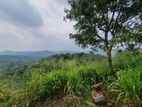 109 Perch Scenic Land for Sale – Kegalle (Rambukkana Road)