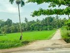 10P 12P & 45P Lands For Sale In Homagama Meegoda Near Paddy Field