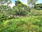 10P Bare Land For Sale In Battaramulla