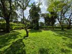 10P Bare Land For Sale In Boralesgamuwa