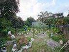 10P Bare Land For Sale In Hokandara