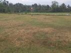 10p Bare Land for Sale in Horana