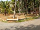 10p Bare land for Sale in Kalutara