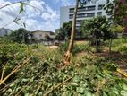 10P Bare Land For Sale In Thalahena