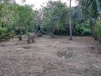 10P Bare Lands For Sale in Katunayake