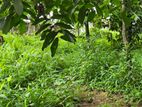 10p - Flat Land For Sale in Kandy Lewella