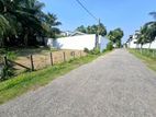 10P High Residential Bare Land For Sale In Pittugala