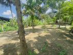 10P Land for sale in ARUPPOLA (TPS2302)