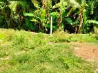 10P Land for Sale in Galle