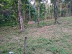 10p Land For Sale in Lewella - Yakgahapitiya