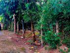 10p Land for Sale in Piliyandala Kotagedara D/L0016