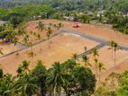 10P Land for Sale Panadura Kiriberiya