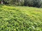10P Pelawatta Land - Few Minutes Walk to Overseas School, Key Towns