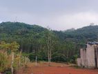 10P Residential Land for Sale Dodangoda