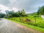 10P Two Blocks or 20P Entire Land Just Next to Colombo-Horana Main Rd