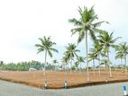 10p Valuable Land for Sale in Hikkaduwa "Abhimani"