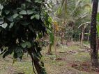 11 ACER AGRICULTURE LAND FOR SALE KULIYAPITIYA HE2465