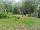 11 Acres bare land for sale in Wilegoda, Matugama (C7-6455)