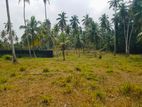 11 Acres of Prime Commercial Land Available for Lease – Minuwangoda