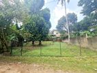 11 P Bare Land for Sale in Colombo 05