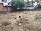 11 Perch Land for Sale in Boralesgamuwa KIII-A2