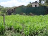 11 Perch Land for Sale in Homagama