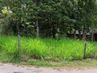 11 Perch Land for Sale in Homagama