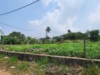 11 Perch Residential Land In Pepiliyana | SL14837