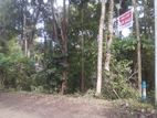 11-Perch Residential Land in Kandy for Sale