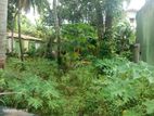 11 Perches Land Sale in Dehiwala