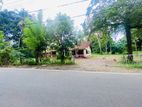 110 P Land -Long Term Rent – Close to Battaramulla, Pannipitiya Main Rd