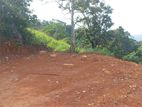110 Perch Land for Sale in Beragala, – Scenic Location with Clear Title