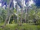 110 Perch of land with a house for sale in Kithulgala (SSPL-92)