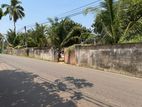110 Perches Commercial Land for Sale Piliyandala