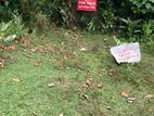 11.2 Perch Land for Sale in Kalalgoda