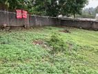 11.2 Perch Land for Sale Talawatugoda Kalalgoda