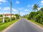 11.2 Perches Residential Land Block for Sale in Ekala, Ja-Ela.