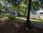 11.25 Perch Prime Residential Land for Sale – Off Hill Street