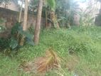 11.25 Perches Land for Sale in Kohuwala