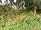 114 Perch Land for Sale Homagama