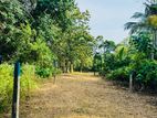 114 Perches Land for Sale in Katana, Kongodamulla.Katana.Gampaha.