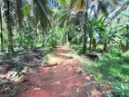 114 Perches Land for Sale in Massala, Beruwala