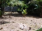 11.5 PERCH LAND for SALE in SEEDUWA