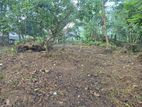 11.5 Perches land for sale in BOLLATHA, Kandana (C7-10306)