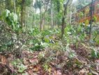 115 Perches Land with House for Sale – Matale
