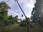 11.5perch land for sale pallansena, Kochchikade