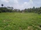 1167.5P Land for Sale in Minhetiya, Baddegama, Kurunegala (SL 14616)