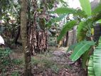 11.75 Perch Land for Sale in Matale City